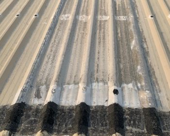 WhatsApp Image 2025-10-16 at 10.14.28 PM