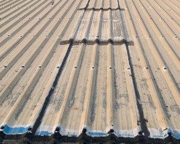 WhatsApp Image 2025-10-16 at 10.14.30 PM