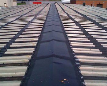 WhatsApp Image 2025-10-16 at 10.23.19 PM