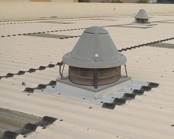 WhatsApp Image 2025-10-16 at 10.26.03 PM (1)