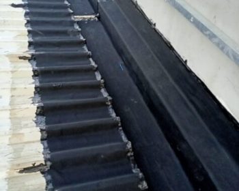 WhatsApp Image 2025-10-16 at 10.26.45 PM